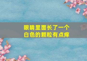 眼睛里面长了一个白色的颗粒有点痒