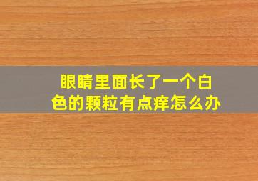 眼睛里面长了一个白色的颗粒有点痒怎么办