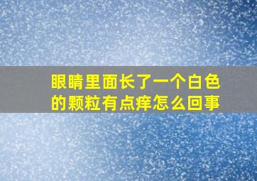 眼睛里面长了一个白色的颗粒有点痒怎么回事