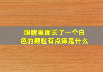 眼睛里面长了一个白色的颗粒有点痒是什么