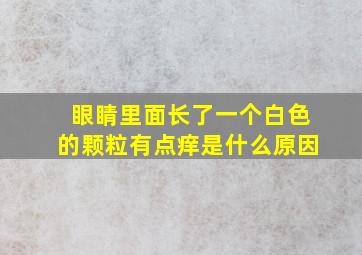 眼睛里面长了一个白色的颗粒有点痒是什么原因