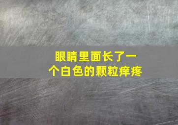 眼睛里面长了一个白色的颗粒痒疼