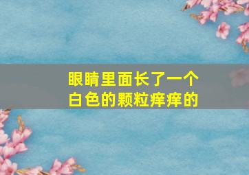 眼睛里面长了一个白色的颗粒痒痒的