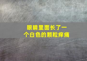 眼睛里面长了一个白色的颗粒痒痛