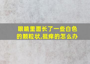 眼睛里面长了一些白色的颗粒状,挺痒的怎么办