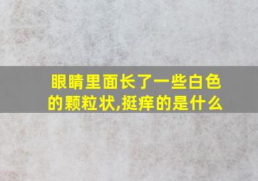 眼睛里面长了一些白色的颗粒状,挺痒的是什么