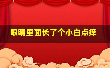 眼睛里面长了个小白点痒