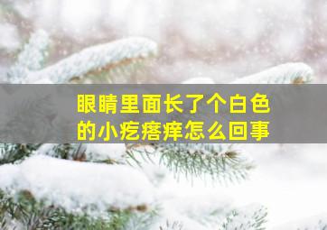 眼睛里面长了个白色的小疙瘩痒怎么回事