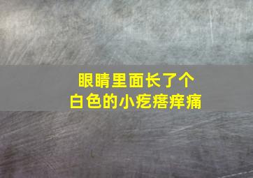 眼睛里面长了个白色的小疙瘩痒痛