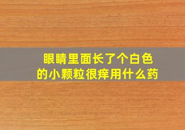 眼睛里面长了个白色的小颗粒很痒用什么药