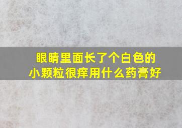 眼睛里面长了个白色的小颗粒很痒用什么药膏好