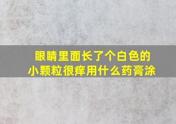 眼睛里面长了个白色的小颗粒很痒用什么药膏涂