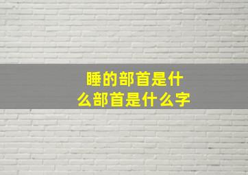 睡的部首是什么部首是什么字