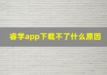 睿学app下载不了什么原因