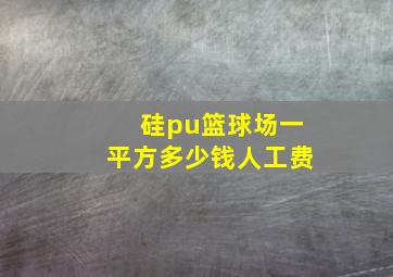 硅pu篮球场一平方多少钱人工费