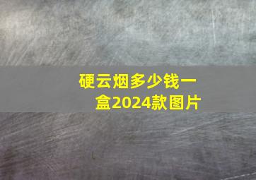 硬云烟多少钱一盒2024款图片