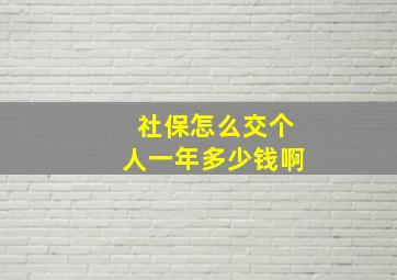 社保怎么交个人一年多少钱啊