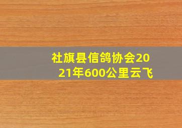 社旗县信鸽协会2021年600公里云飞