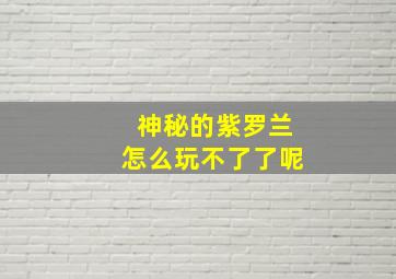 神秘的紫罗兰怎么玩不了了呢