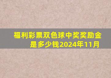 福利彩票双色球中奖奖励金是多少钱2024年11月