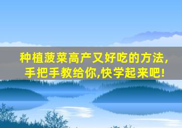 种植菠菜高产又好吃的方法,手把手教给你,快学起来吧!