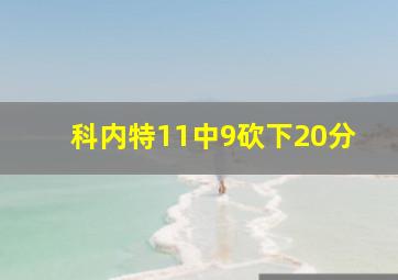 科内特11中9砍下20分