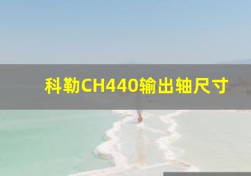 科勒CH440输出轴尺寸