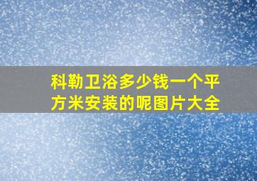 科勒卫浴多少钱一个平方米安装的呢图片大全