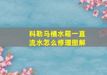 科勒马桶水箱一直流水怎么修理图解