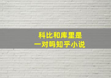 科比和库里是一对吗知乎小说