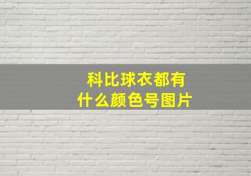 科比球衣都有什么颜色号图片