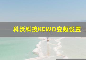 科沃科技KEWO变频设置