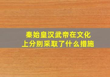 秦始皇汉武帝在文化上分别采取了什么措施