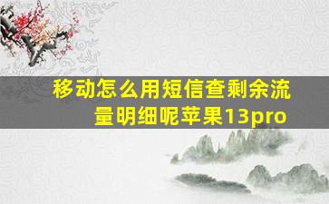 移动怎么用短信查剩余流量明细呢苹果13pro