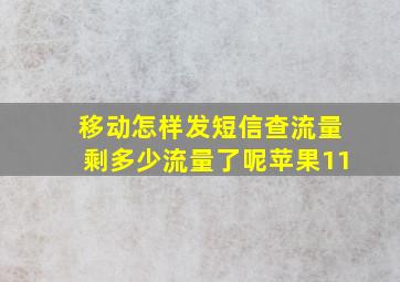 移动怎样发短信查流量剩多少流量了呢苹果11