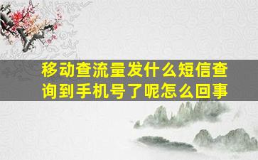 移动查流量发什么短信查询到手机号了呢怎么回事