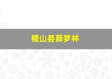 稷山县薛梦林