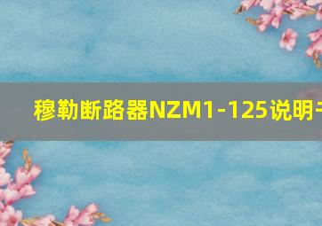 穆勒断路器NZM1-125说明书