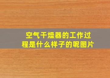 空气干燥器的工作过程是什么样子的呢图片