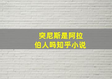 突尼斯是阿拉伯人吗知乎小说