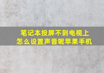 笔记本投屏不到电视上怎么设置声音呢苹果手机