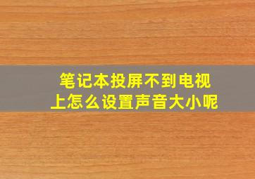 笔记本投屏不到电视上怎么设置声音大小呢