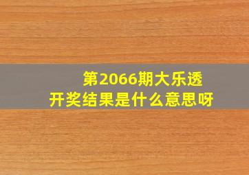 第2066期大乐透开奖结果是什么意思呀