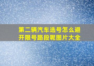 第二辆汽车选号怎么避开限号路段呢图片大全