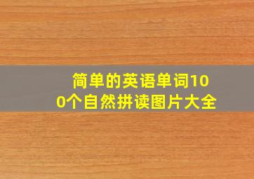 简单的英语单词100个自然拼读图片大全