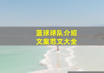 篮球球队介绍文案范文大全