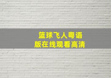 篮球飞人粤语版在线观看高清