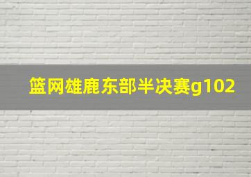 篮网雄鹿东部半决赛g102