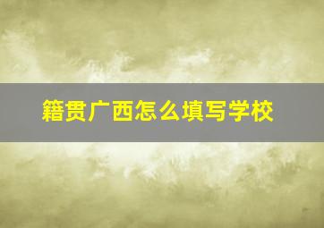 籍贯广西怎么填写学校