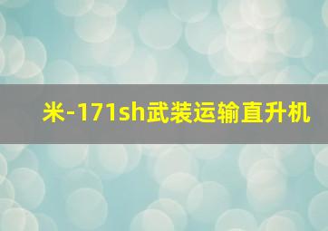 米-171sh武装运输直升机